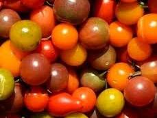 Tomatoes: Cherry Tomato Mix (pint)