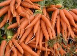 Carrots: Orange Nantes (bunch)
