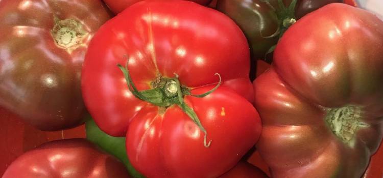 high prairie farm_heirloom tomatoes