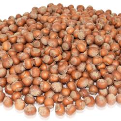 Nuts: Oregon Hazelnuts, Raw, In the Shell, 2025 Harvest (five lbs.)