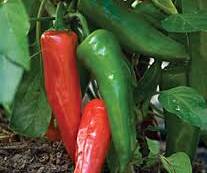 Peppers: Anaheim, Green (each)