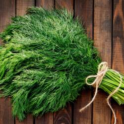 Herbs: Fresh Dill Weed (bunch)
