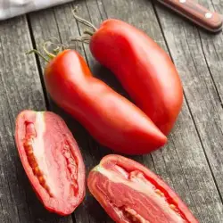 Tomatoes: San Marzano (one pound)