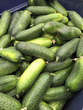 Cucumbers: Pickling (pound)