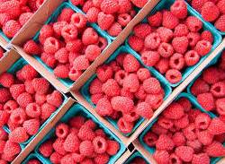 Raspberries: Mix of "Heritage"\"Carolina" (pint)