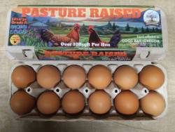 Eggs: Pasture Raised (One dozen)