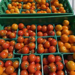 Tomatoes: Cherry Tomatoes (pint)
