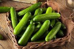 Cucumber: Persian, Organic (pound)