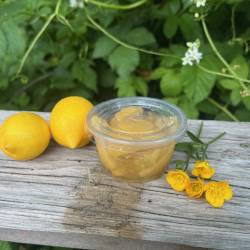 Lemon Slices: Lacto-Ferment Preserved (4 oz.)