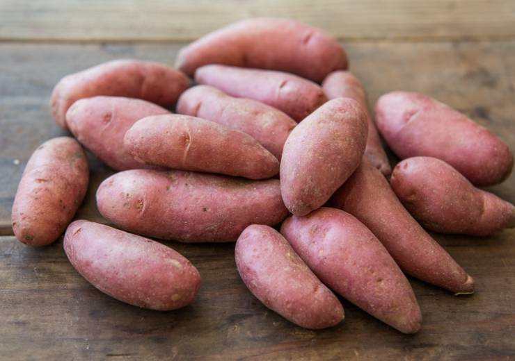 French Fingerlings: The Prettiest Potatoes in the Bin (and Some of the Tastiest, Too)