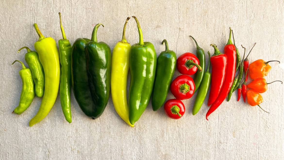 Pepper Season on the Coast: Sweet, Smoky, and Just a Little Heat