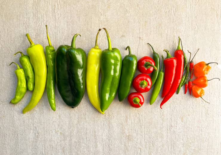 Pepper Season on the Coast: Sweet, Smoky, and Just a Little Heat