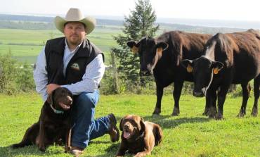 Oat Hill Organic Beef: A Local Story Worth Savoring