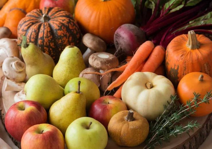 The Flavor of Fall: Pears, Asian Pears, and Apples at OtterBee’s