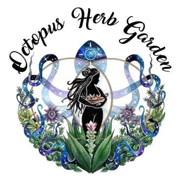 Tides, Time, and Tea: Welcoming Octopus Herb Garden of Langlois