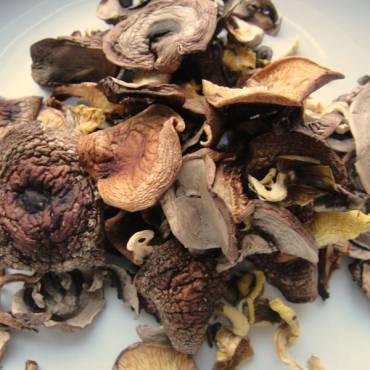 Dried Wild Mushrooms, and Why I’m Finally Cracking Mine Open
