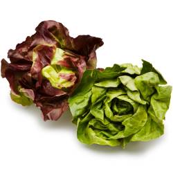 Lettuce: Butterhead Hearts (each)