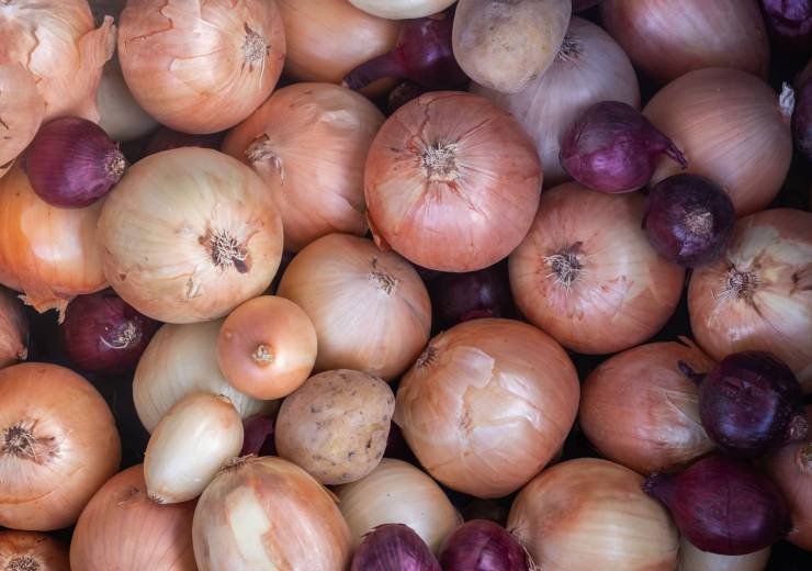 The Whole Onion Family: A Guide to Cooking with Alliums
