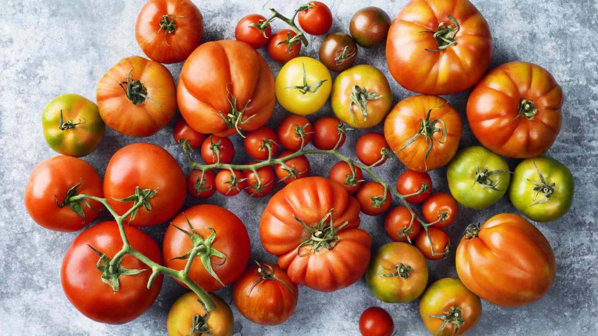 Tomato Season Is Finally Here