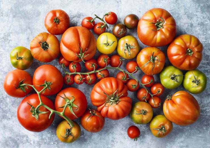 Tomato Season Is Finally Here