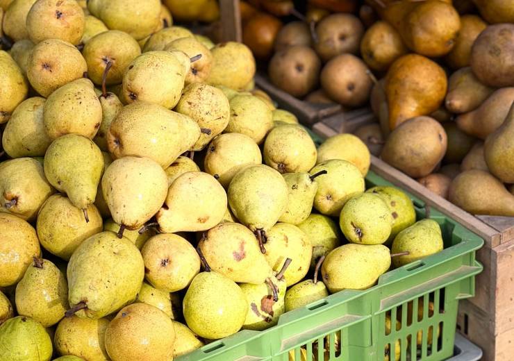 Why Pears Like It Here