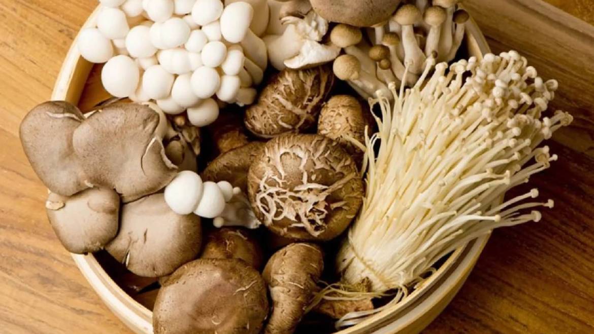 Three Mushroom Recipes Worth Making This Fall