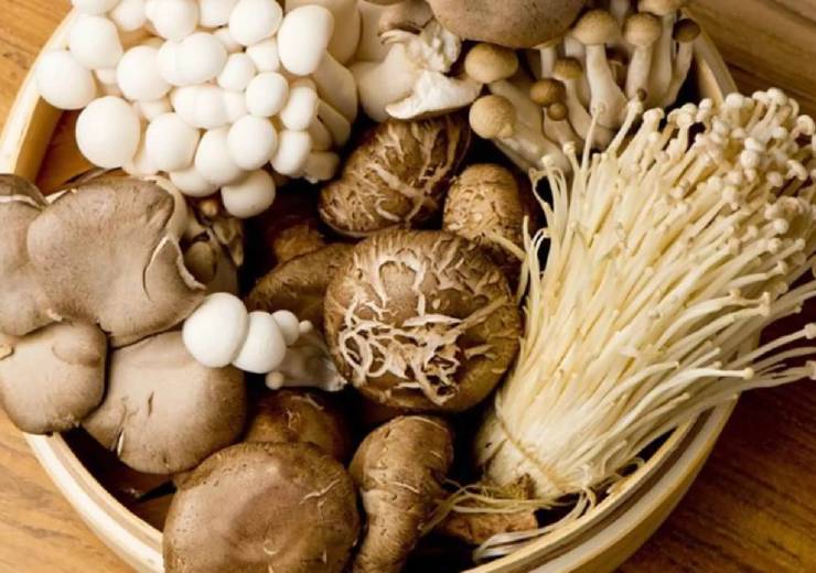 Three Mushroom Recipes Worth Making This Fall