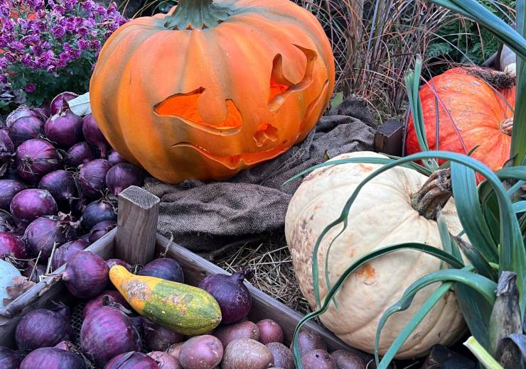 A Halloween Table Without a Single Pumpkin